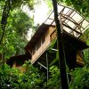THe photo shows the ground view looking up into a tall wooden treehouse in Costa Rica.
