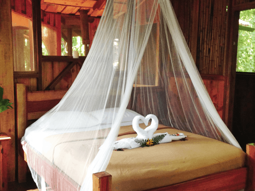 Image shows an empty hotel bed, with a sheer curtain draped above it and two towels folded into the shape of swans kissing on the bed. Below it, copy says "travel sex tips"